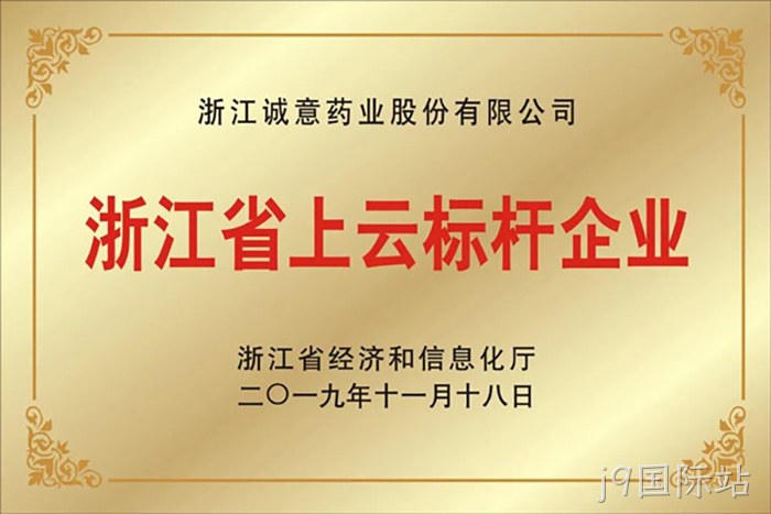 浙江省上云标◤杆企业 浙江省上云标✯✯杆企业