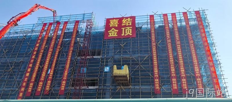 微信图片_20251127090426_291_10 微信图片_20251127090426_291_10